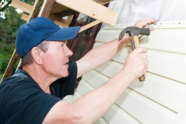 Best Siding Painting and Refinishing  in Clermont, FL
