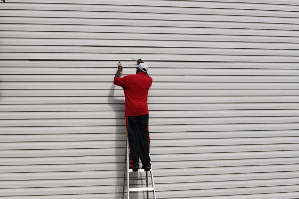 Best Brick Veneer Siding  in Clermont, FL