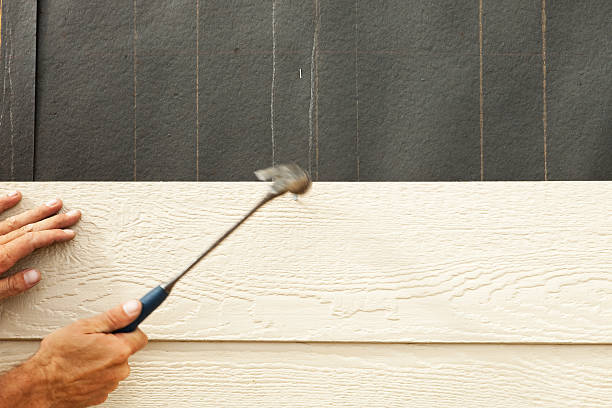 Best Engineered Wood Siding  in Clermont, FL